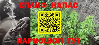 сатива Канаш