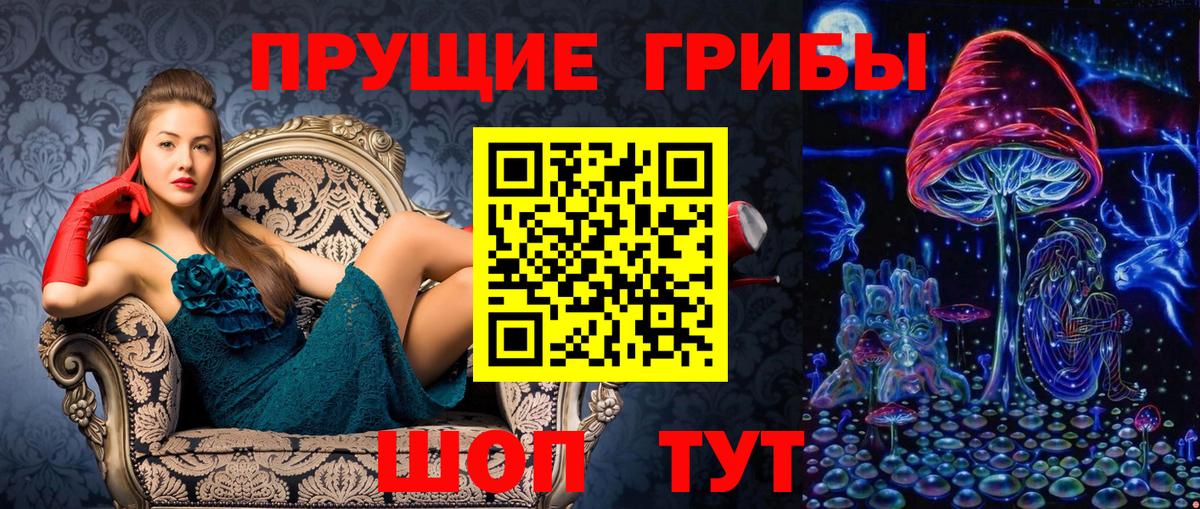 Кудымкар  Псилоцибиновые грибы Psilocybine cubensis  Вход с VPN  Псилоцибиновые грибы GOLDEN TEACHER 