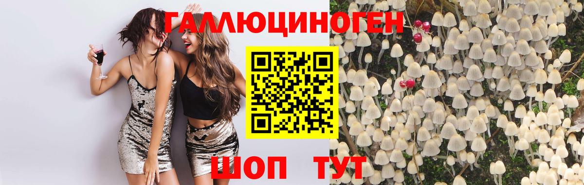 Галлюциногенные грибы прущие грибы Кудымкар